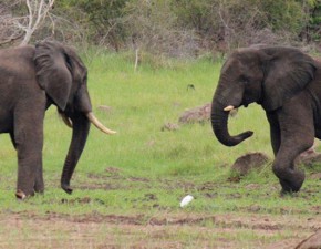 Zambia_Accommodation